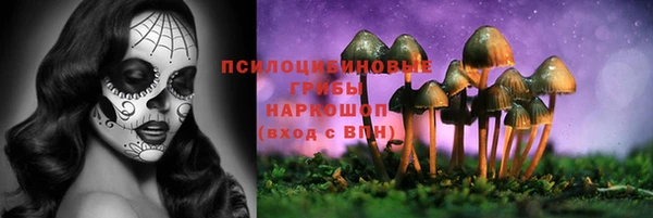 прущий лед Балахна
