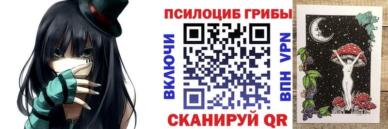 Галлюциногенные грибы Psilocybine cubensis  Купить где  Темрюк 