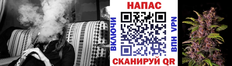 Купить закладки Темрюк Каннабис планчик